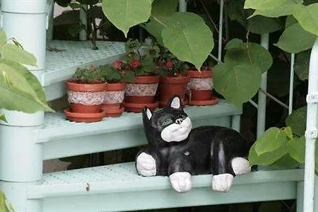 Dorotheenhof Κότμπους